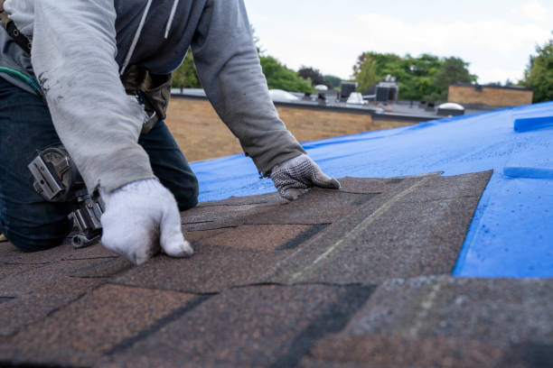 Quick and Trustworthy Emergency Roof Repair Services in North Pekin, IL